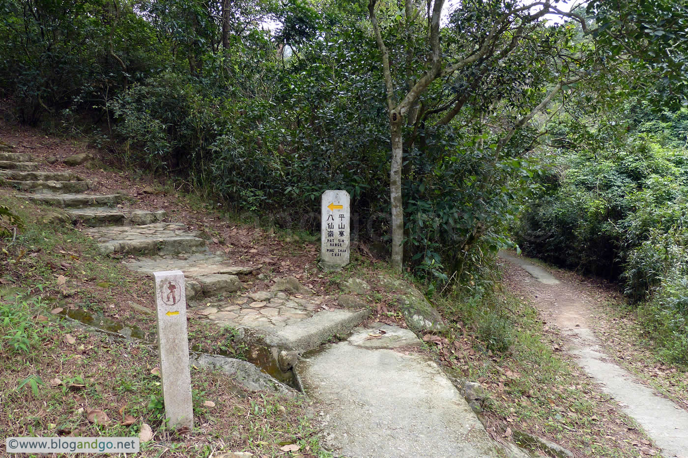 Wilson Trail 9 - W113 To Pat Sin Leng